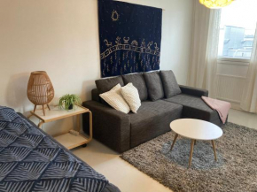 Rovaniemi center apartment Rovaniemi